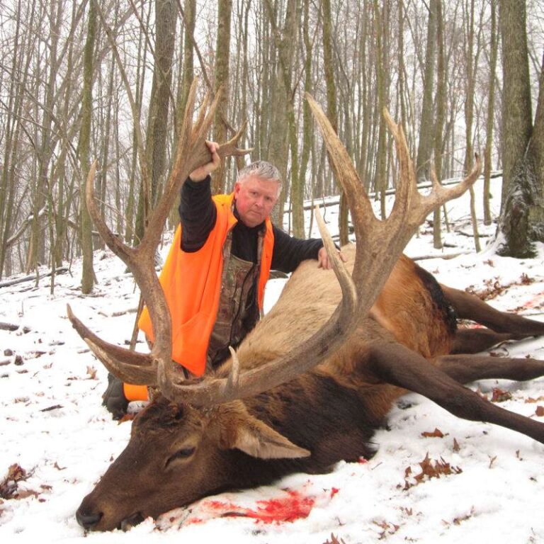 Guided Trophy Elk Hunts & Big Game Hunting In Pennsylvania | Tioga Boar ...