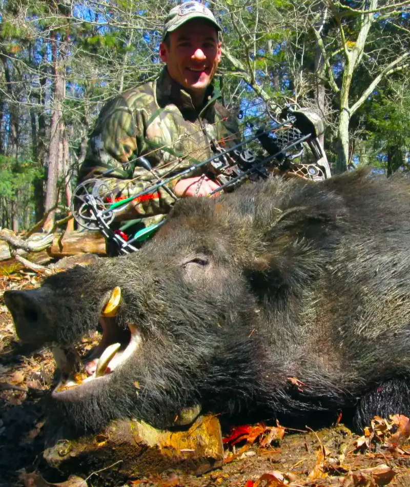 Guided Hunting Trips Near Idaho at Tioga Boar Hunting